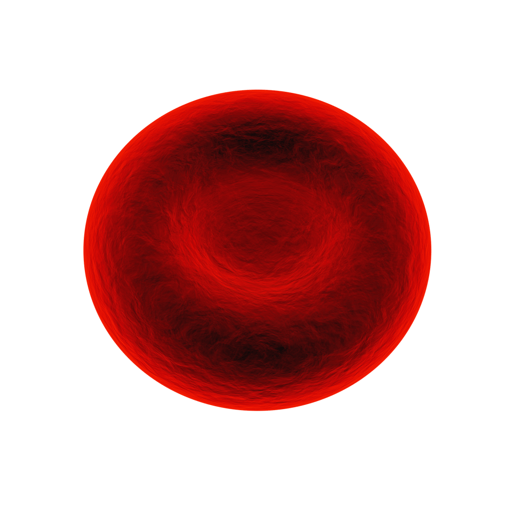 θαλασσαιμία