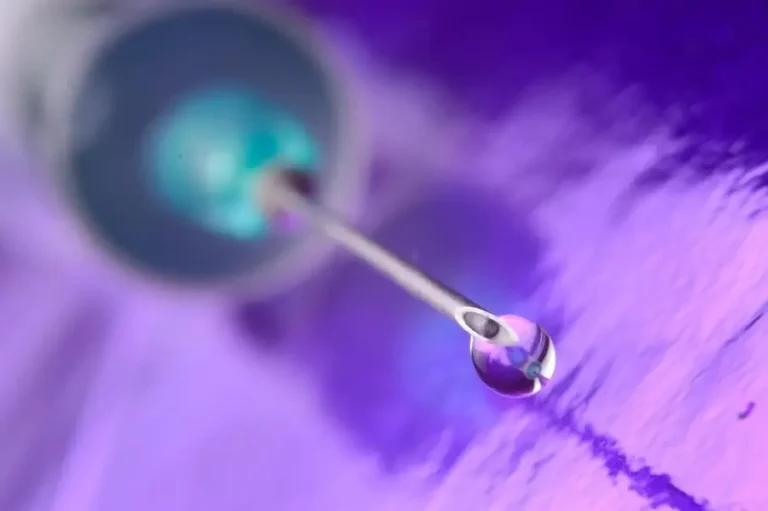 Εξωσωματική γονιμοποίηση με δανεικά ωάρια