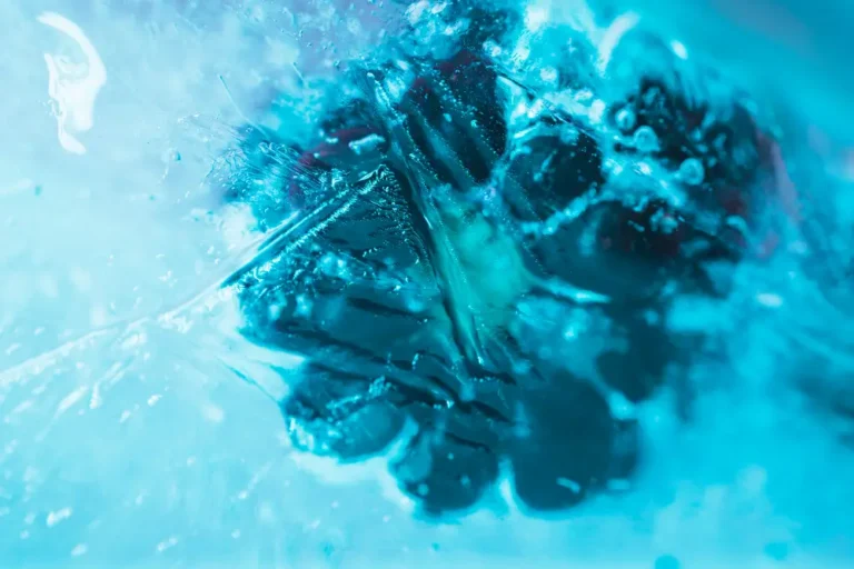 Δωρεά ωαρίων και κρυοσυντήρηση: Πρωτοποριακές εξελίξεις στην Αναπαραγωγική Υγεία